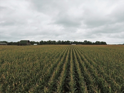 SOLD! $7455 per Acre! - image 3