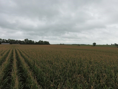 SOLD! $7455 per Acre! - image 4