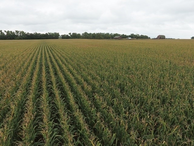 SOLD! $7455 per Acre! - image 7