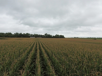 SOLD! $7455 per Acre! - image 5