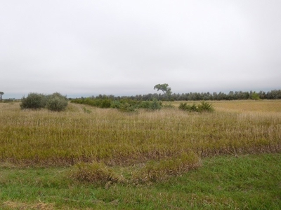 SOLD!  $2140 per Acre! - image 6
