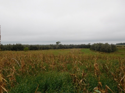 SOLD!  $2140 per Acre! - image 3