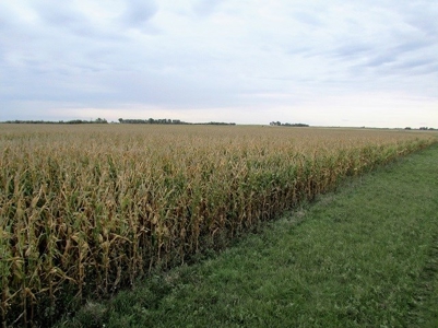SOLD!  $2140 per Acre! - image 14