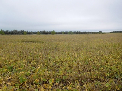 SOLD!  $2140 per Acre! - image 9