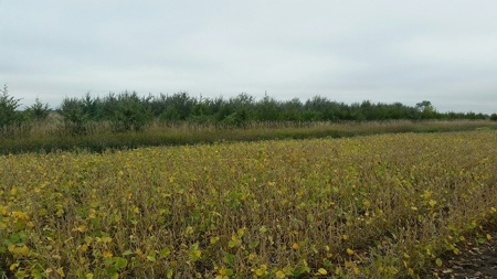 SOLD!  $2140 per Acre! - image 1