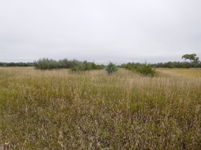 SOLD!  $2140 per Acre! - image 8