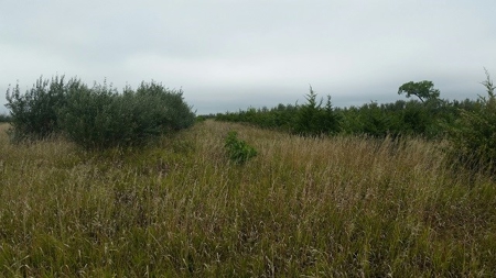 SOLD!  $2140 per Acre! - image 2