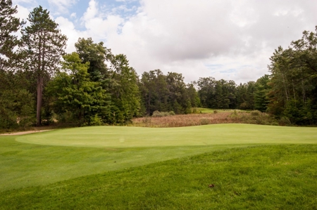 Northern MI  Custom Log Home on Garland Resort Golf Course - image 30