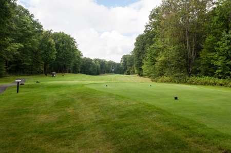 Northern MI  Custom Log Home on Garland Resort Golf Course - image 31