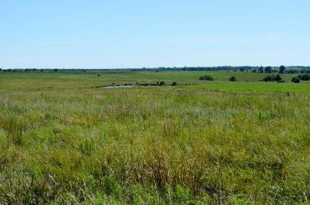162± Acres of Farmland & Pasture in Ottawa County, Kansas - image 2