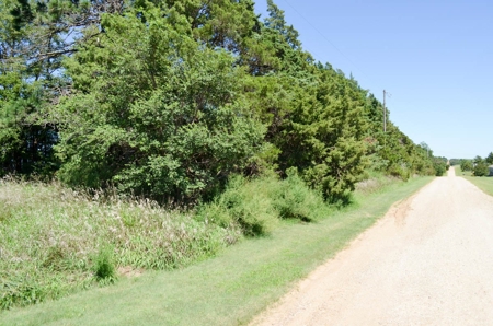 321± Acres of Farmland & Pasture in Ottawa County, Kansas - image 10
