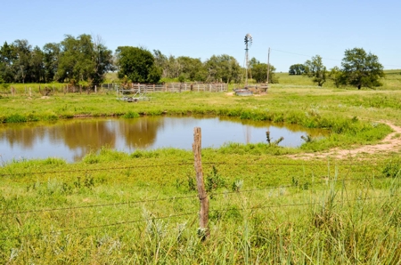 321± Acres of Farmland & Pasture in Ottawa County, Kansas - image 13