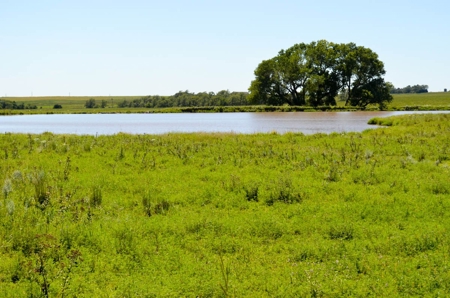 321± Acres of Farmland & Pasture in Ottawa County, Kansas - image 16