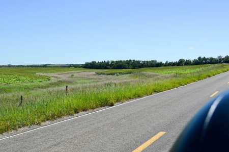 321± Acres of Farmland & Pasture in Ottawa County, Kansas - image 5