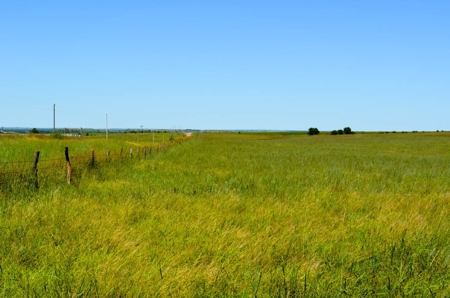 313± Acres of CRP & Pasture Land Auction For Sale in Kansas - image 3
