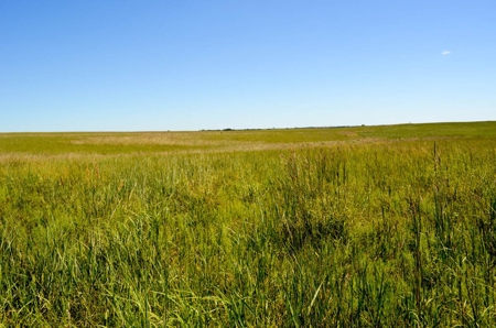 313± Acres of CRP & Pasture Land Auction For Sale in Kansas - image 9