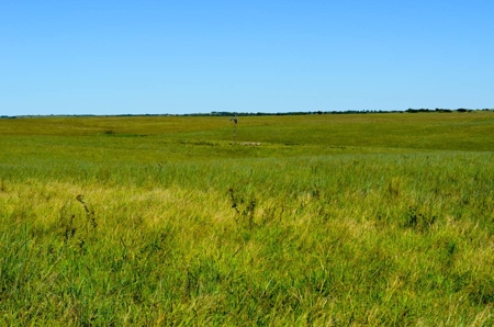 313± Acres of CRP & Pasture Land Auction For Sale in Kansas - image 2