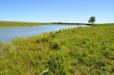 313± Acres of CRP & Pasture Land Auction For Sale in Kansas - image 10