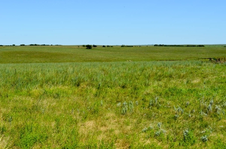 313± Acres of CRP & Pasture Land Auction For Sale in Kansas - image 1