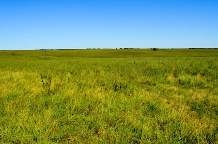 313± Acres of CRP & Pasture Land Auction For Sale in Kansas - image 4