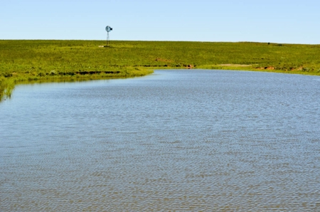 313± Acres of CRP & Pasture Land Auction For Sale in Kansas - image 11