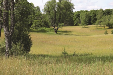 Michigan Recreational Property for Sale | NeBoShone Ranch - image 12