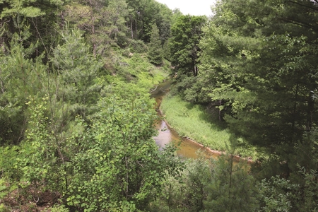 Michigan Recreational Property for Sale | NeBoShone Ranch - image 6