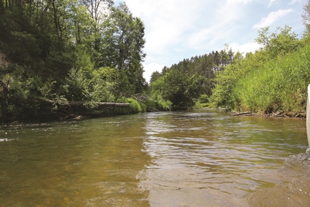 Michigan Recreational Property for Sale | NeBoShone Ranch - image 11