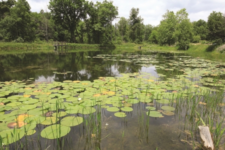Michigan Recreational Property for Sale | NeBoShone Ranch - image 10