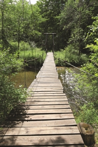Michigan Recreational Property for Sale | NeBoShone Ranch - image 9