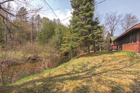 Michigan Recreational Property for Sale | NeBoShone Ranch - image 2
