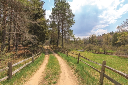 Michigan Recreational Property for Sale | NeBoShone Ranch - image 4