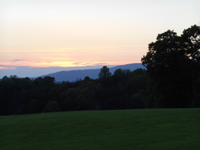 Bruner Rd. - image 3