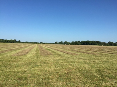 Land for sale in Cedar County, Missouri - image 6