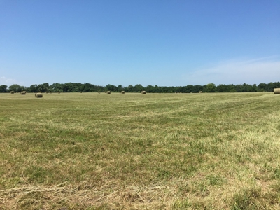 Land for sale in Cedar County, Missouri - image 7