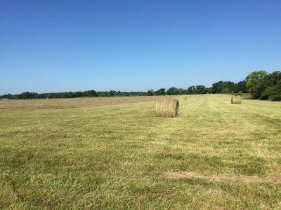 Land for sale in Cedar County, Missouri - image 4