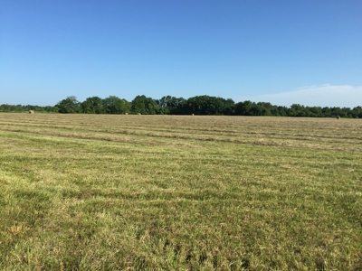 Land for sale in Cedar County, Missouri - image 5