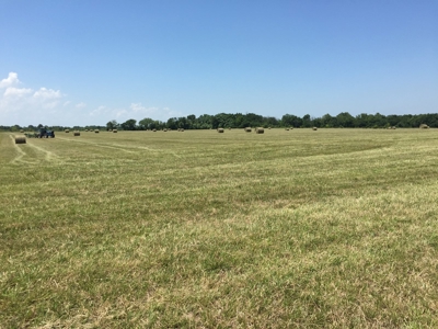 Land for sale in Cedar County, Missouri - image 8