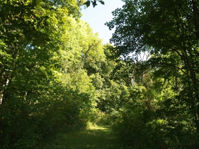 Real Estate Auction - 11 +/- Acres - Newark, OH - image 4
