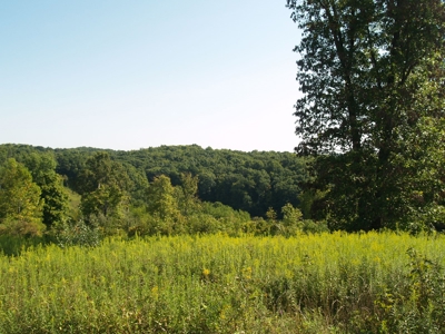 Real Estate Auction - 11 +/- Acres - Newark, OH - image 2