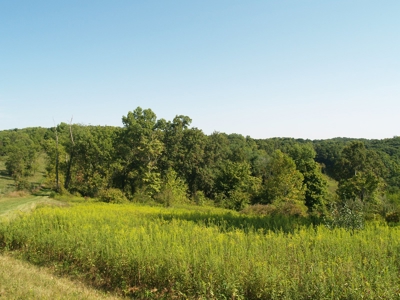 Real Estate Auction - 11 +/- Acres - Newark, OH - image 3