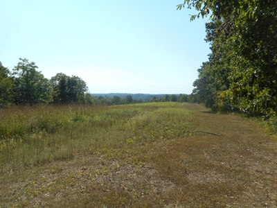 Real Estate Auction - 10 Acres - Newark, OH - image 1
