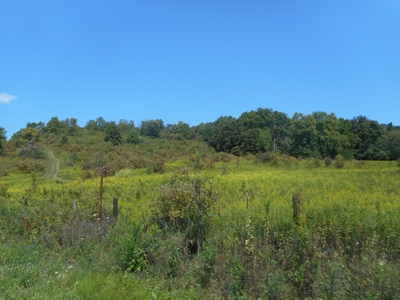 Real Estate Auction - 10 Acres - Newark, OH - image 9