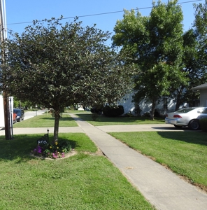 Wilhoit Sale - Bid On-Site Only - image 5