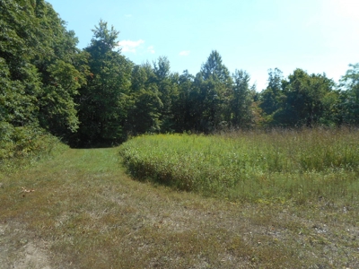 Real Estate Auction - 56 Acres - Newark, OH - image 7