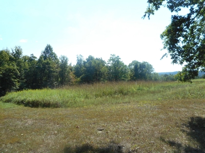 Real Estate Auction - 56 Acres - Newark, OH - image 8