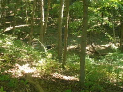 Real Estate Auction - 56 Acres - Newark, OH - image 24