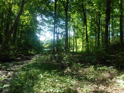 Real Estate Auction - 56 Acres - Newark, OH - image 14