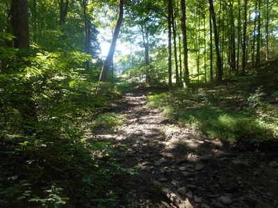 Real Estate Auction - 56 Acres - Newark, OH - image 10