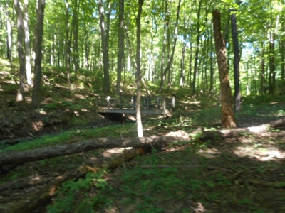 Real Estate Auction - 56 Acres - Newark, OH - image 9